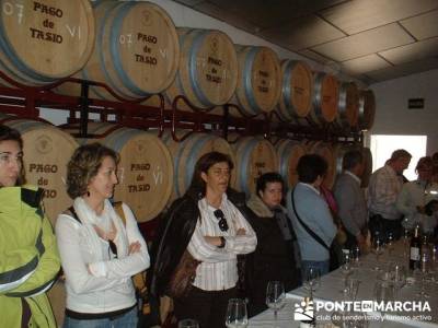 Bodega Pago de Tasio - Viaje enológica a Ribera del Duero; mochilas lisas; senderismo niños madrid